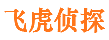 平度婚外情调查取证